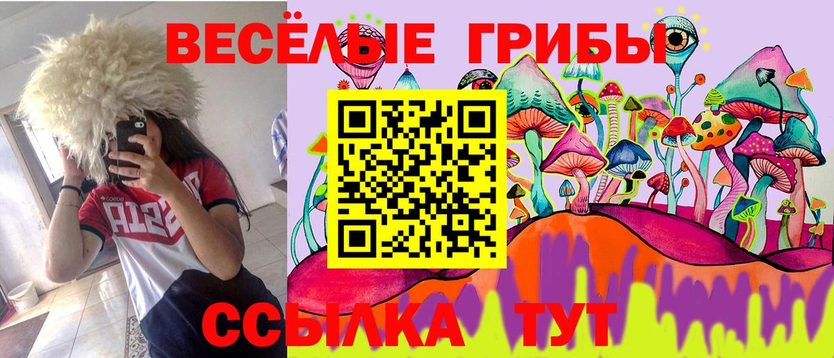 Галлюциногенные грибы Magic Shrooms Партизанск