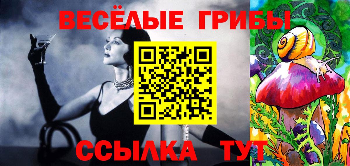 Псилоцибиновые грибы мухоморы  купить  сайты  Партизанск  Вход с VPN 